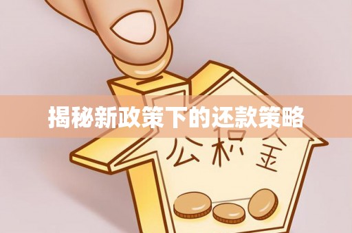三明揭秘新政策下的还款策略
