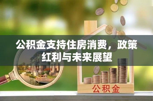 三明公积金支持住房消费，政策红利与未来展望