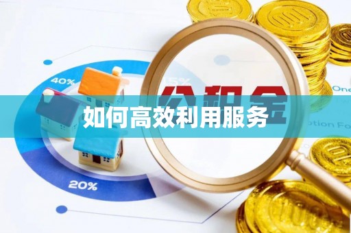三明如何高效利用服务