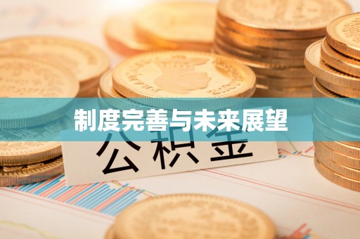 三明制度完善与未来展望