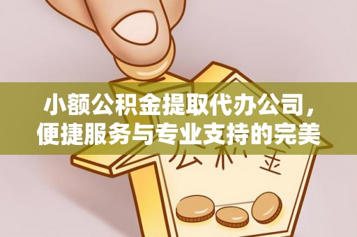 三明小额公积金提取代办公司，便捷服务与专业支持的完美结合