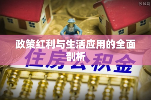 三明政策红利与生活应用的全面剖析