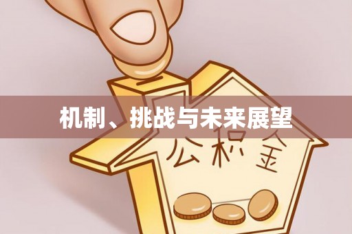 三明机制、挑战与未来展望